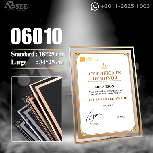 06010